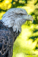 _DSC7664-Edit