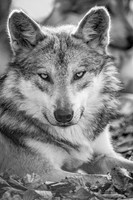 _DSC7606-Edit