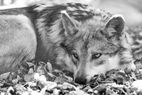 _DSC7577